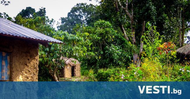 След 12 съпруги, 102 деца и 578 внуци: Мъж казва "стига"