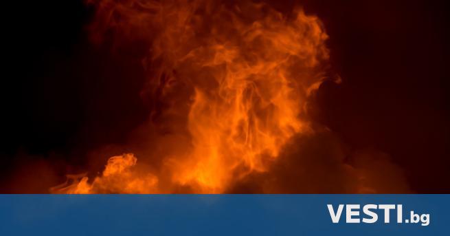 Петима души загинаха при експлозия в химически завод в Китай