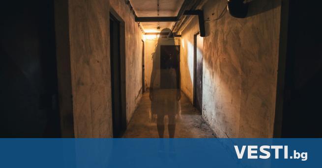 Смразяваща кръвта: Истината за проклятието „Полтъргайст“