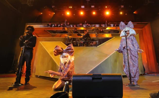 Певицата Сиа с шокиращо разкритие