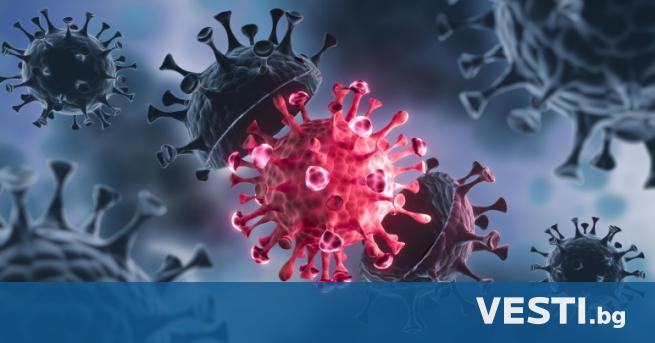 COVID-19: Новите случаи за последните 24 часа у нас