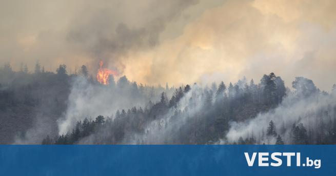 Голям пожар в Рила: Гори борова гора в труднодостъпна местност