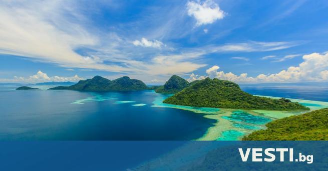 Линията на Уолъс: Историята на загадъчната граница, която раздели света на две