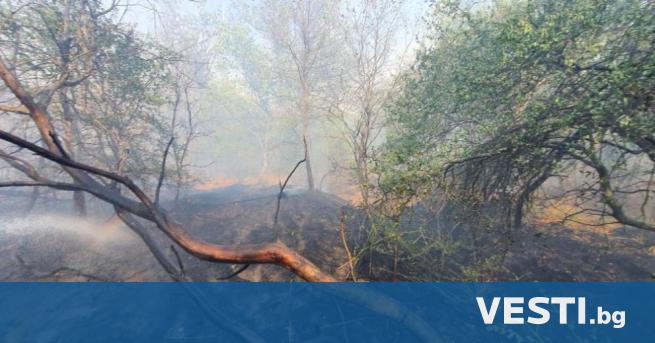 Обявено е бедствено положение в община Ивайловград заради голям горски пожар
