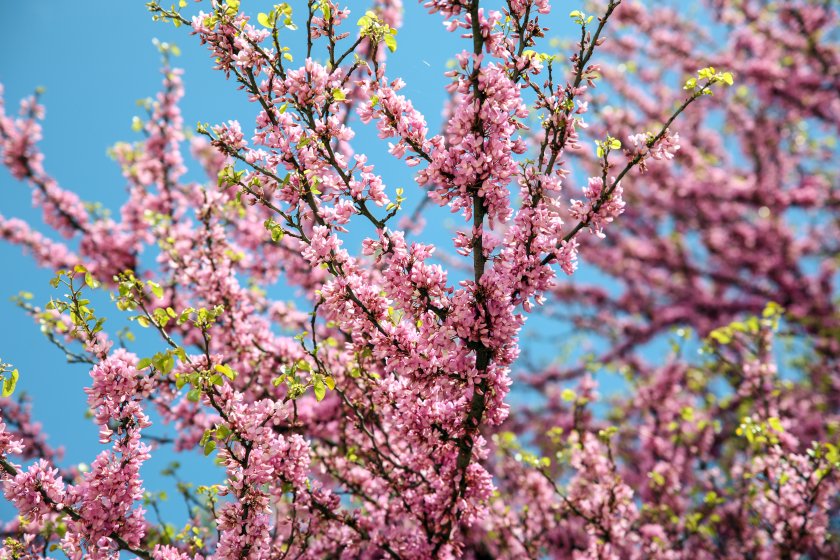 По-топло днес, следобед ще превали на отделни места в Западна България