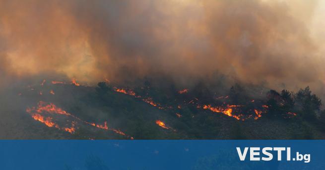 Последна информация за пожарите в Гърция