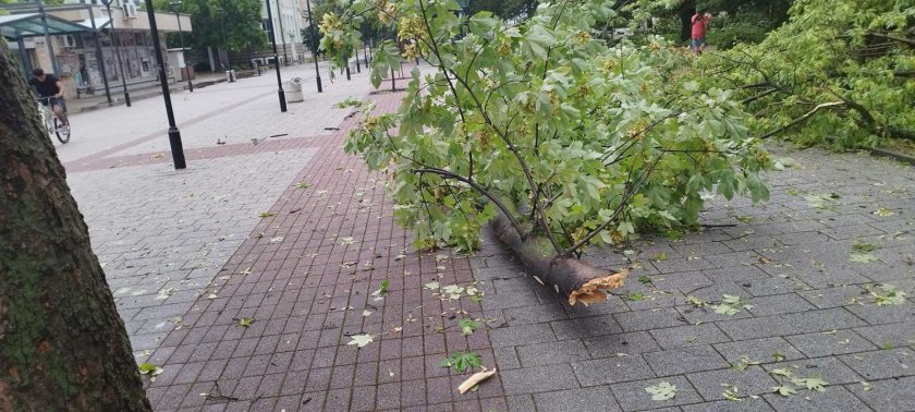 Силен ураганен вятър нанесе щети в Търговище (СНИМКИ)