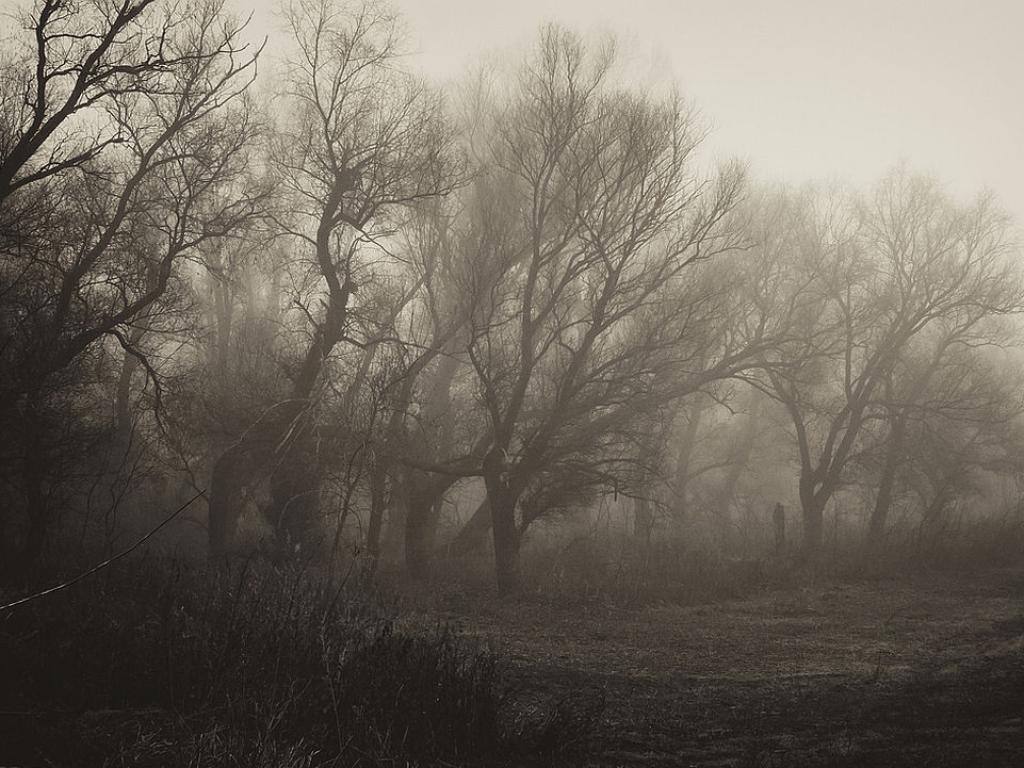 Мистерията, която можете да видите, но не и да докоснете (ВИДЕО)