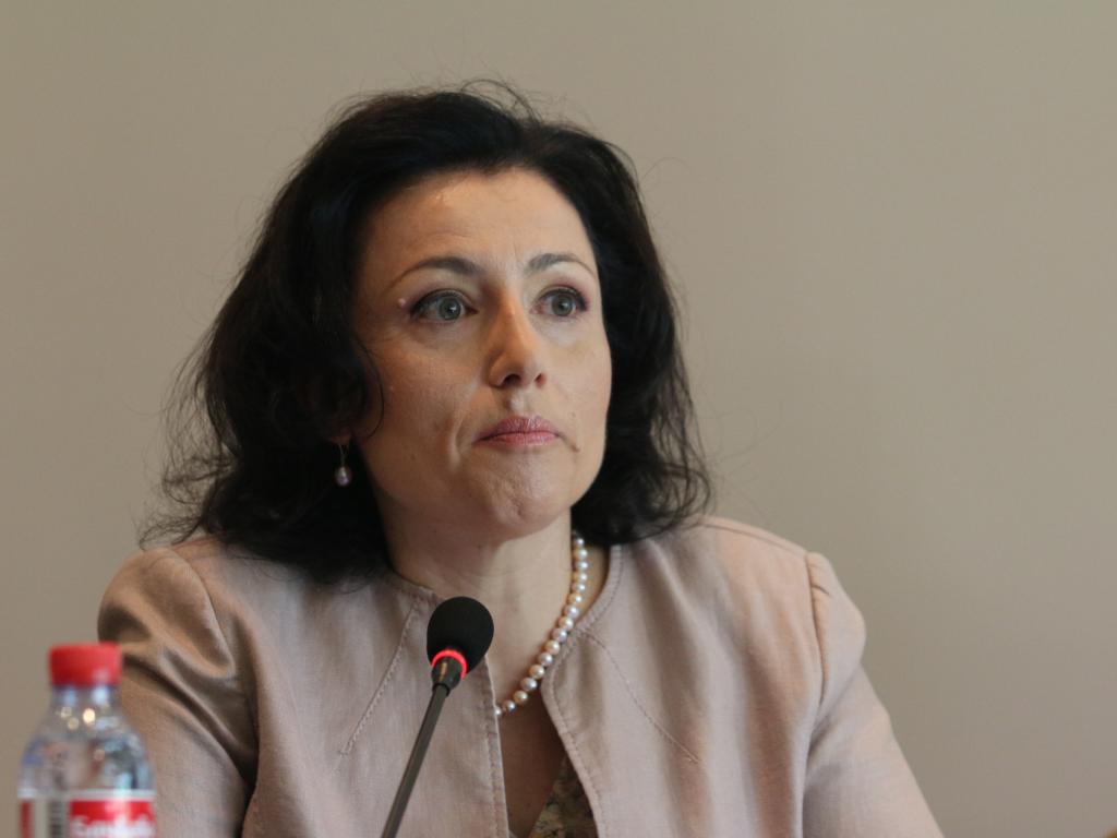 Танева: Министърът може да продава земя без НС