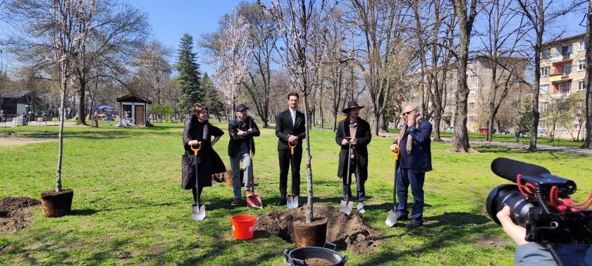 Актьорите Цветна Манева и Димитър Маринов засадиха японски вишни в парка "Заимов" (СНИМКИ)