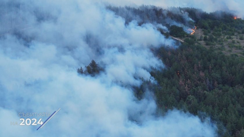 Историята на Светльо от Странджа – героят, който спасява и беше спасен