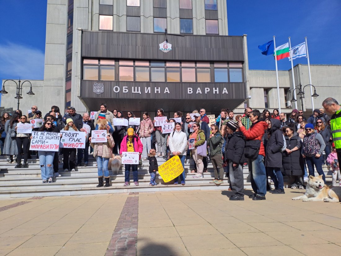 След бруталната агресия в Перник: Варна каза "не" на насилието над животни