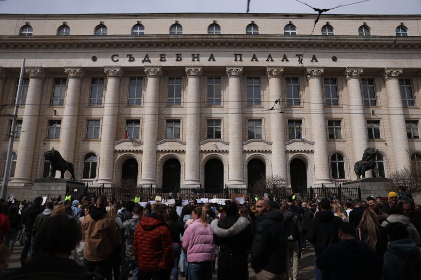 Срещу насилието над животни: Общественото недоволство не стихва (ОБЗОР)