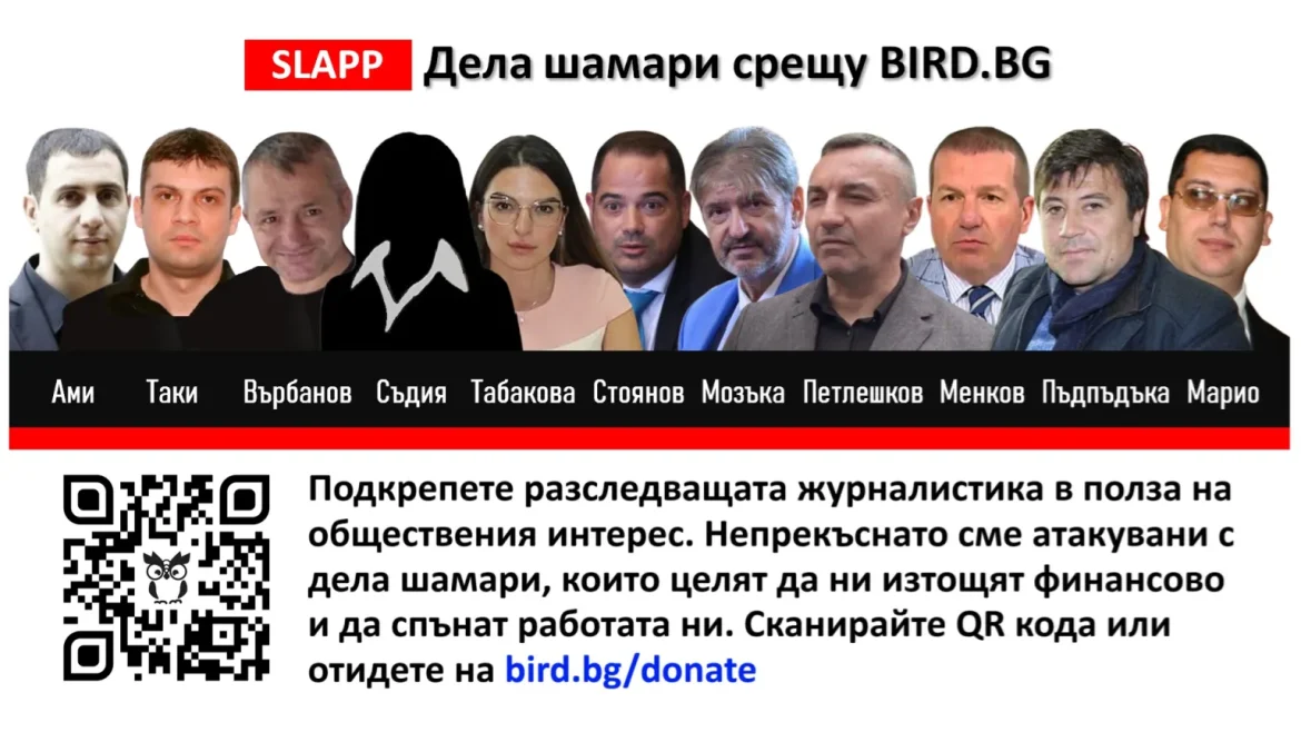 Дела шамари за половин милион лева срещу журналисти от BIRD